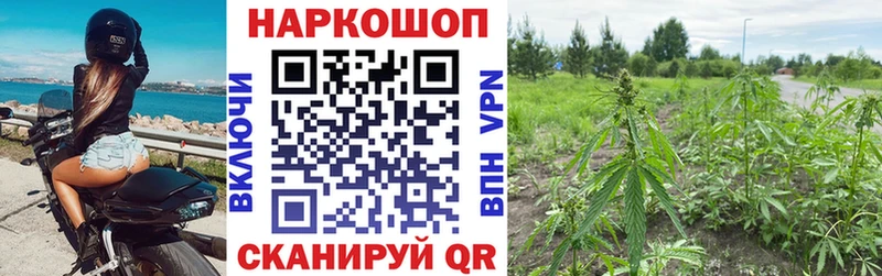 Сколько стоит Агрыз Конопля A PVP КОКАИН АМФЕТАМИН hydra онион ГАШИШ Меф мяу мяу